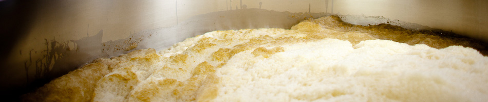 Jolly Pumpkin Artisan Ales