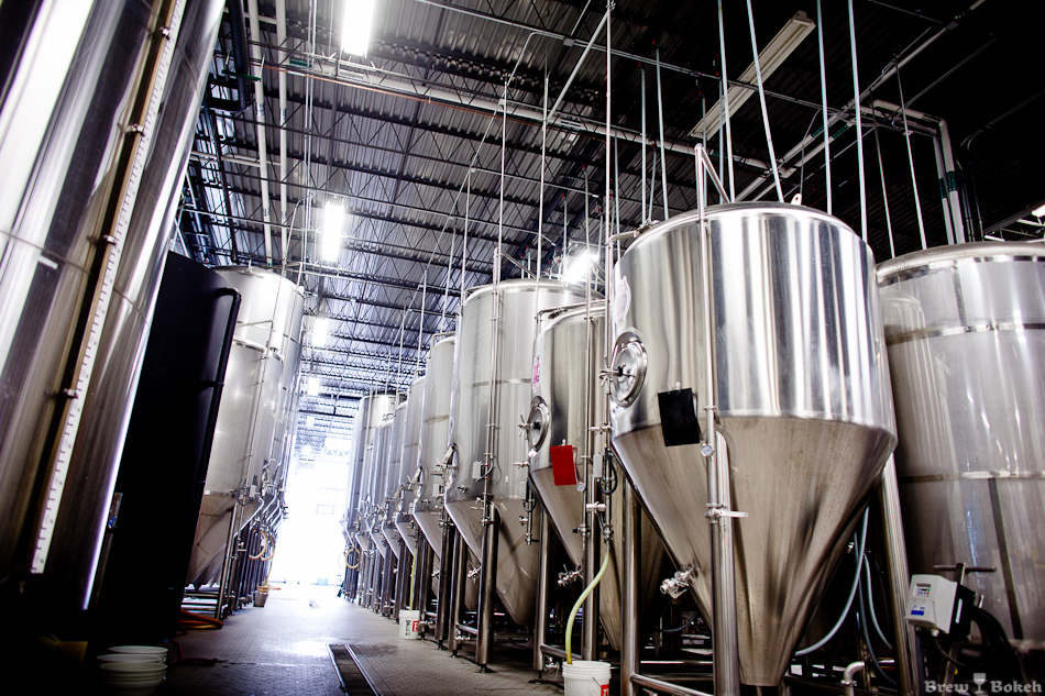 Half Acre Production Fermenters
