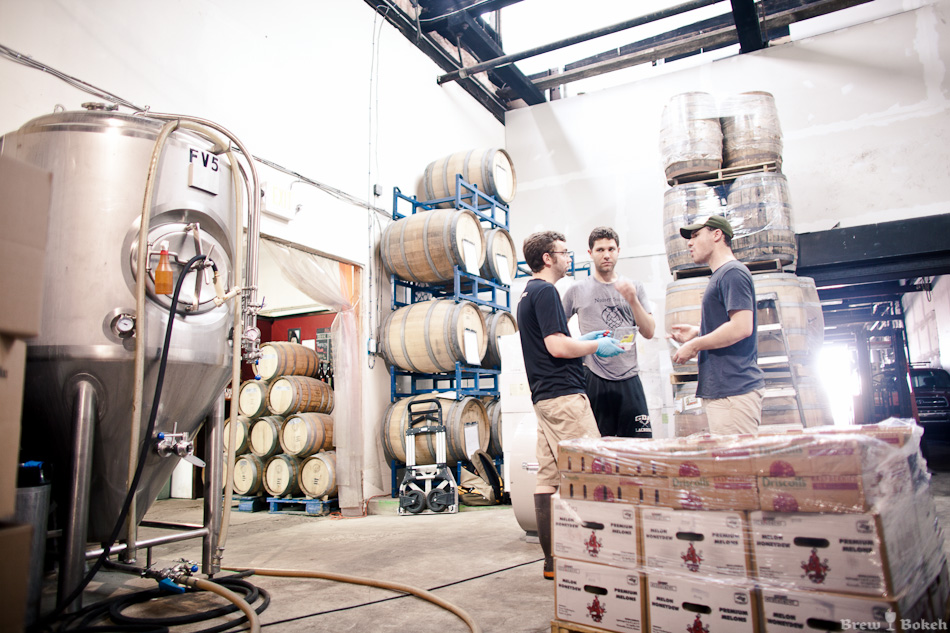Night Shift Founders (Rob Burns, Michael Oxton, Mike O'Mara) Inspecting Raspberries
