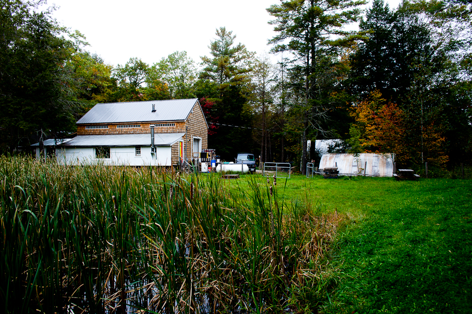 Oxbow Brewery
