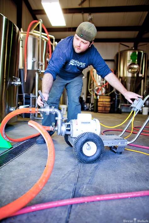 Checking the Mash