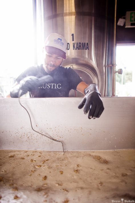 Checking the Mash
