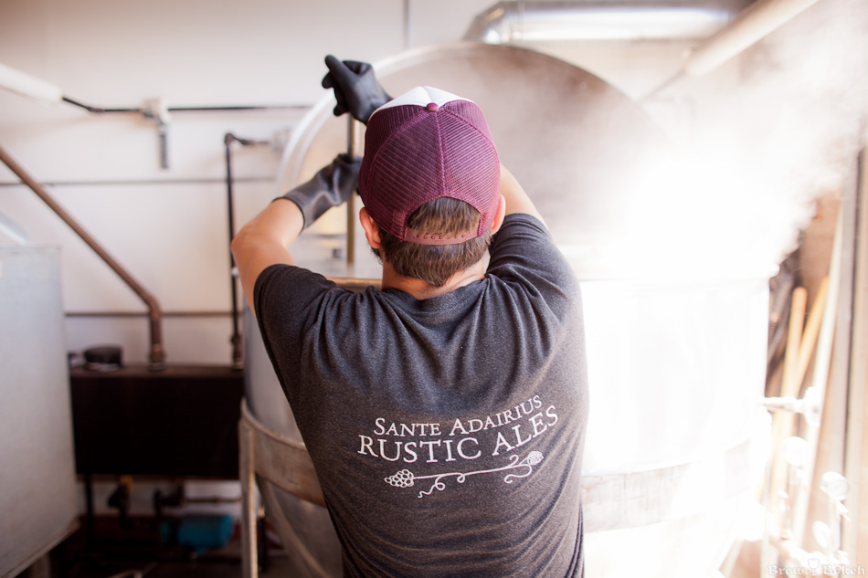 Working The Wort