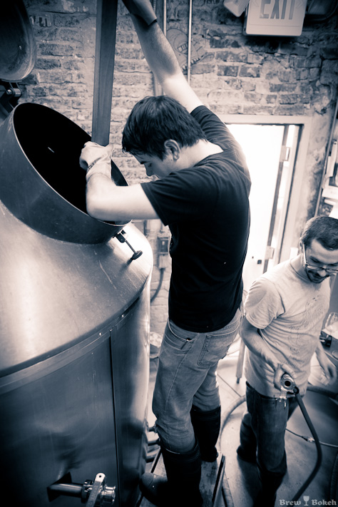 Working Hops Into The Wort