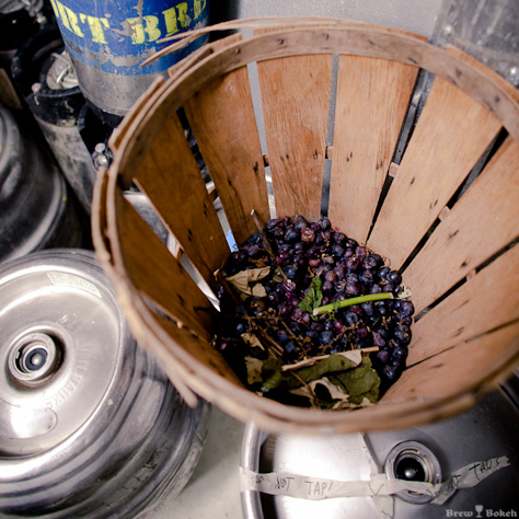 Tired Hands Kegs and Grapes