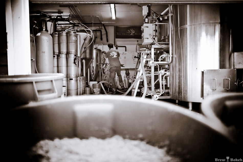 Double Brew Day Chaos