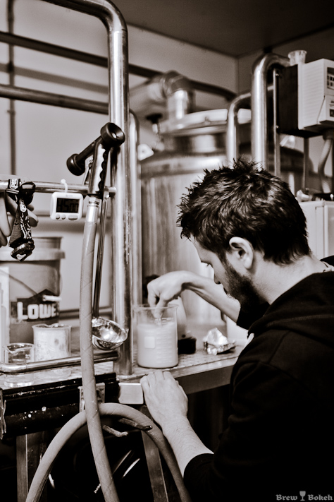 Yeast Prep