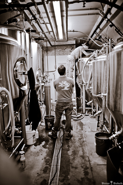 Checking Fermenter