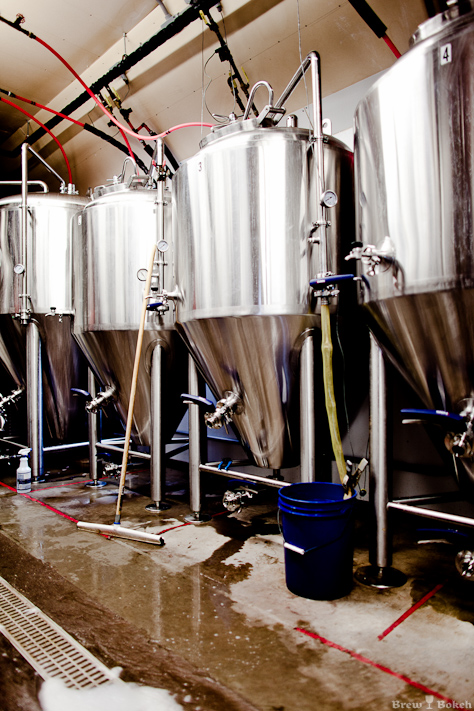 Tree House Fermenters