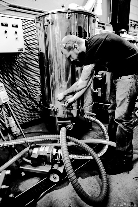 TRVE Checking Wort
